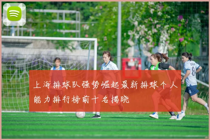上海排球队强势崛起最新排球个人能力排行榜前十名揭晓