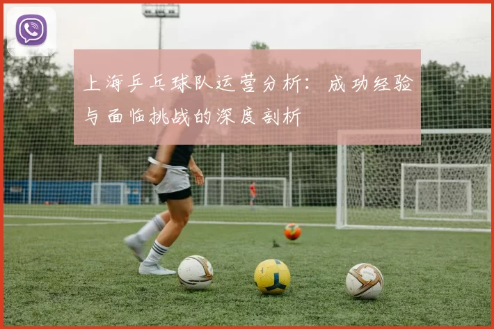 上海乒乓球队运营分析：成功经验与面临挑战的深度剖析