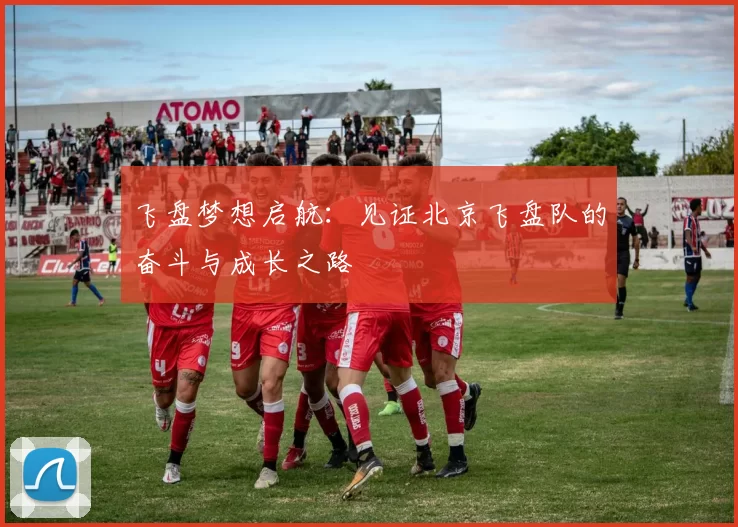 飞盘梦想启航：见证北京飞盘队的奋斗与成长之路