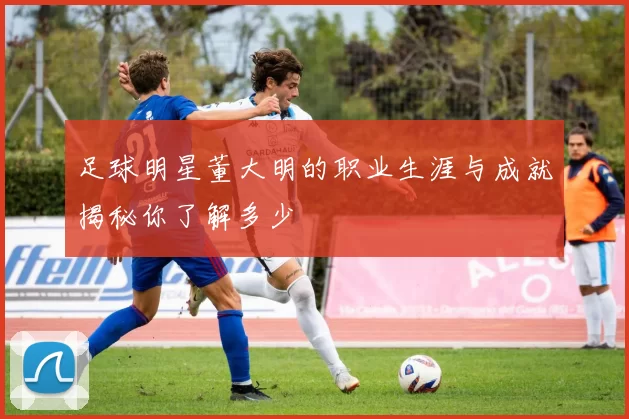 足球明星董大明的职业生涯与成就揭秘你了解多少