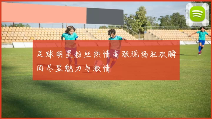 足球明星粉丝热情高涨现场狂欢瞬间尽显魅力与激情