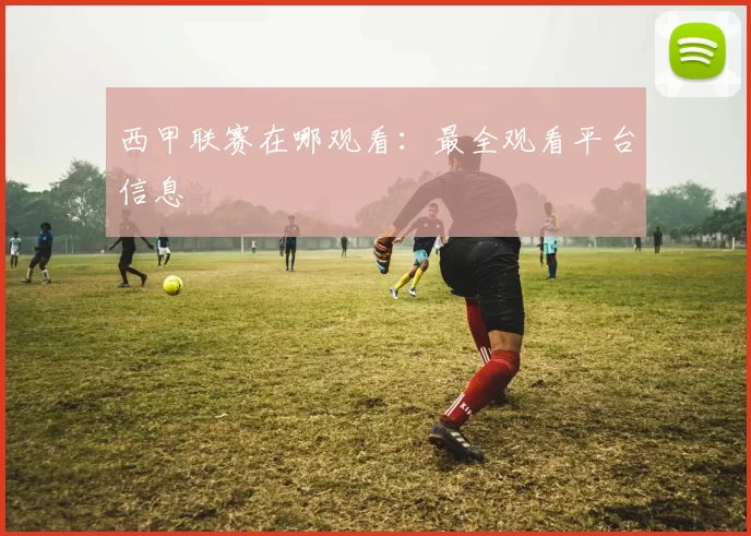 西甲联赛在哪观看：最全观看平台信息