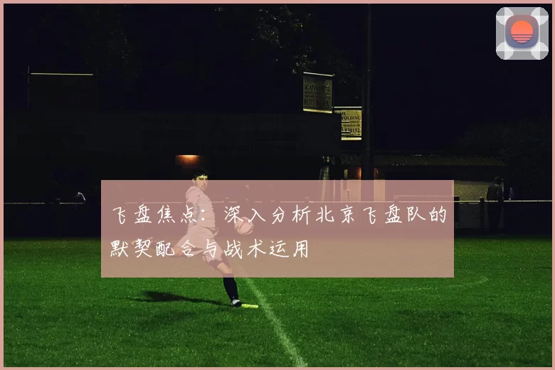飞盘焦点：深入分析北京飞盘队的默契配合与战术运用